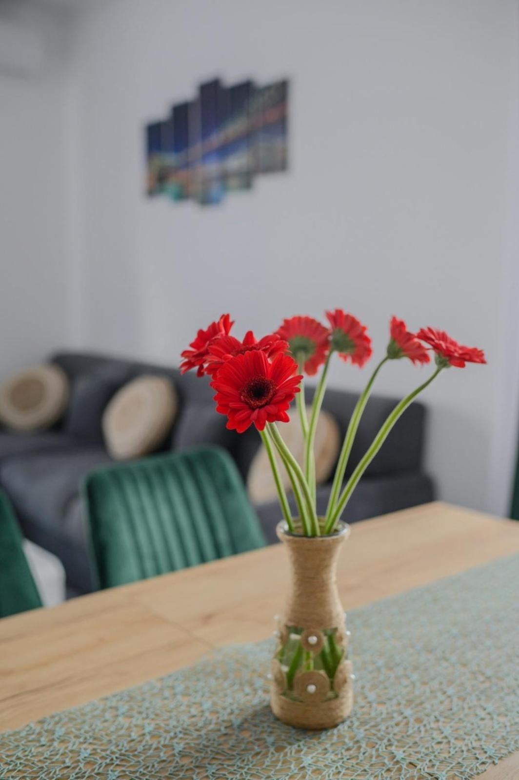 Apartament Radiana Băile Felix Exterior photo